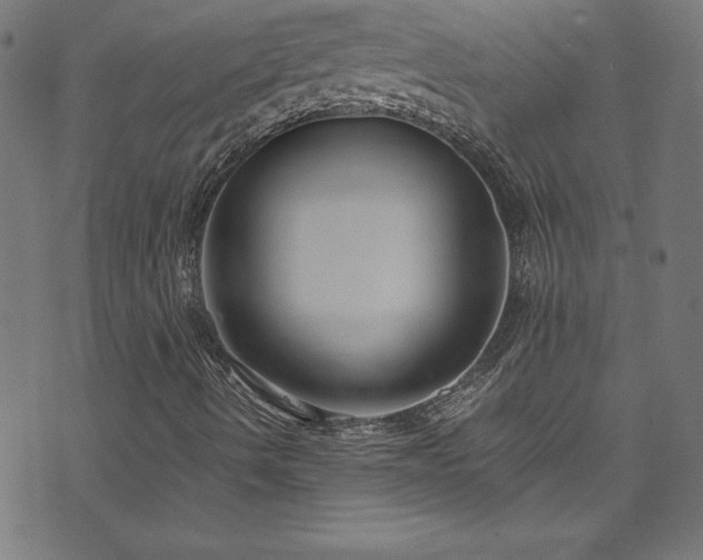X0000073981490200608211241