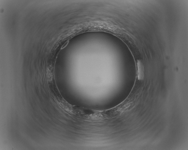 X0000073981491200608211242