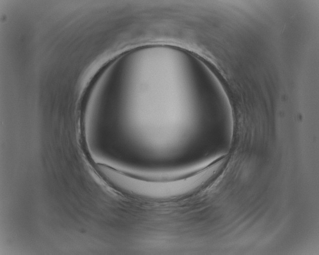 X0000073981511200608211242