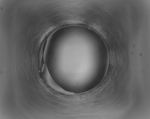 X0000073980015200608281250