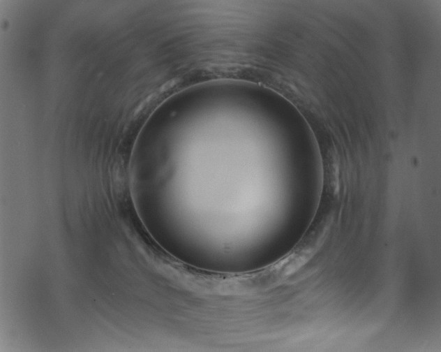 X0000073980040200608281250