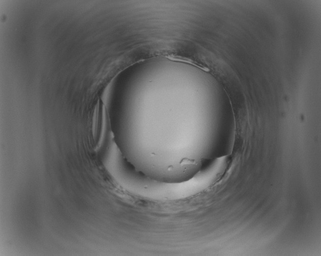 X0000073980041200608281250