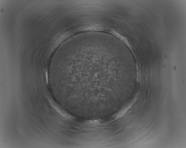 X0000073980061200608281249