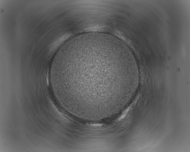X0000073980062200608281249