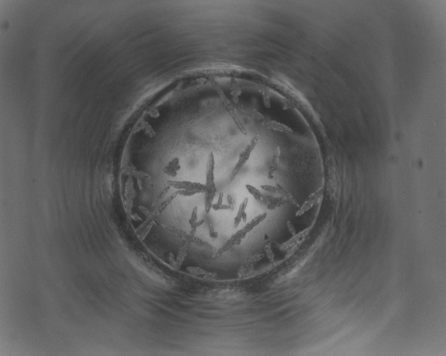 X0000073980063200608281249