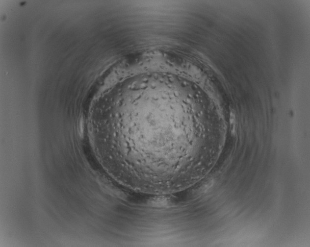 X0000073980076200608281249