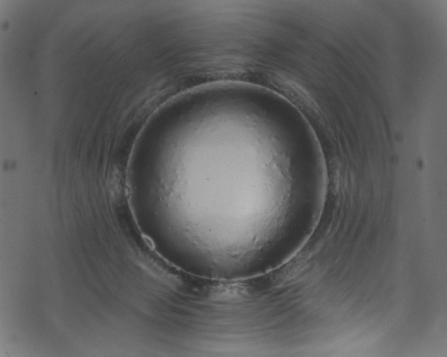 X0000073980077200608281249