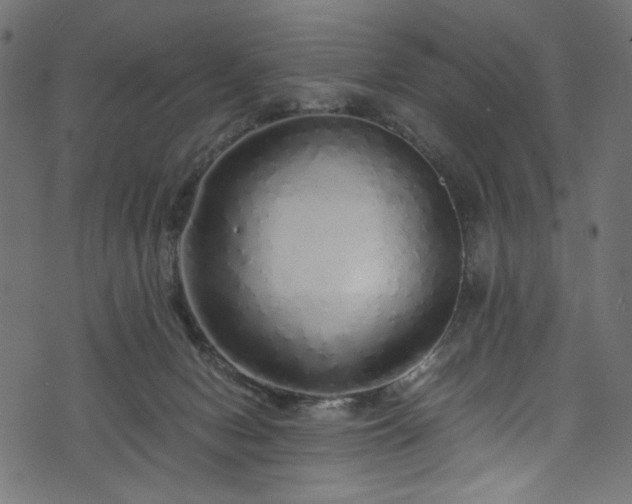 X0000073980078200608281249