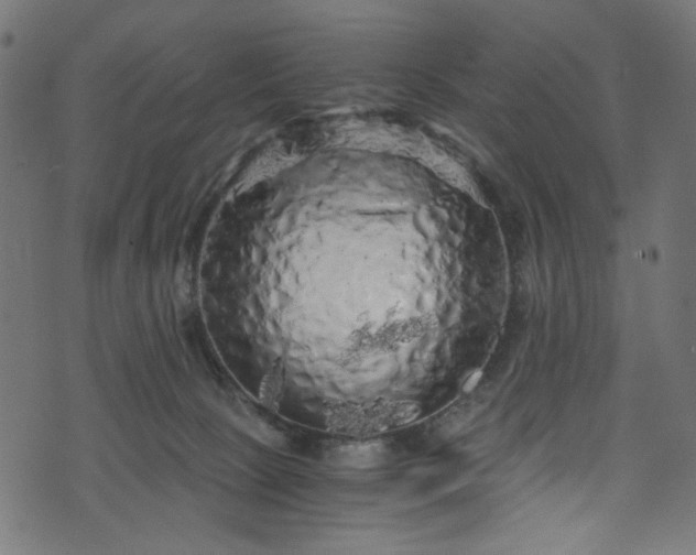X0000073980081200608281249