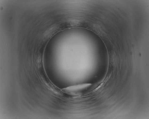 X0000073980082200608281249