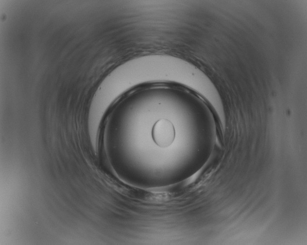 X0000073980084200608281249