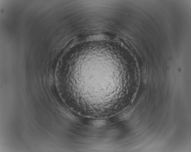 X0000073980085200608281249