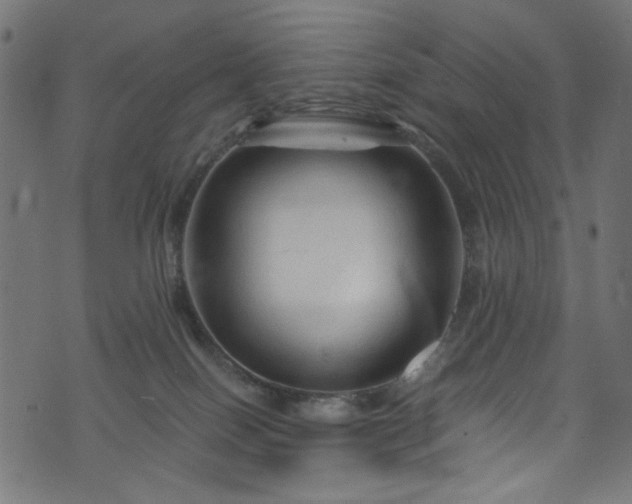 X0000073980086200608281249