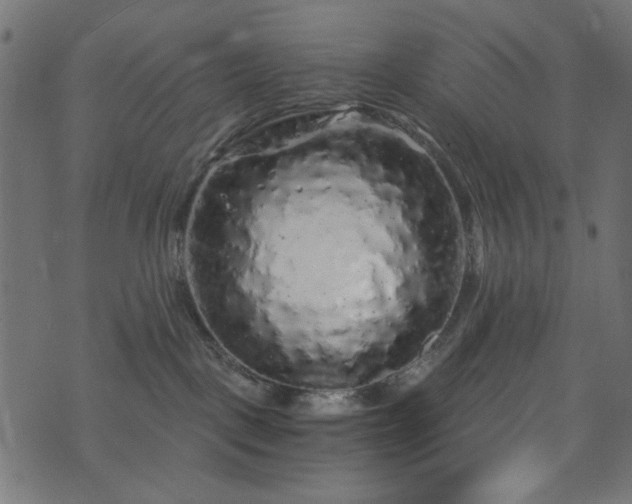 X0000073980093200608281249