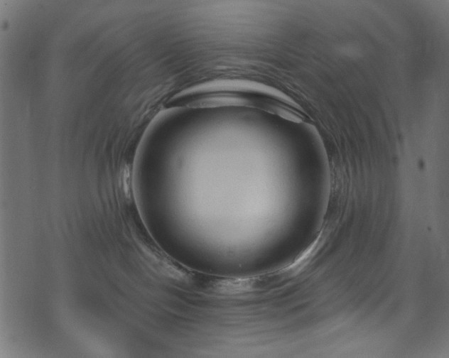 X0000073980094200608281249