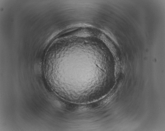 X0000073980111200608281248