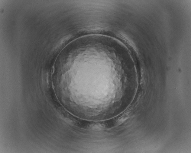 X0000073980115200608281248