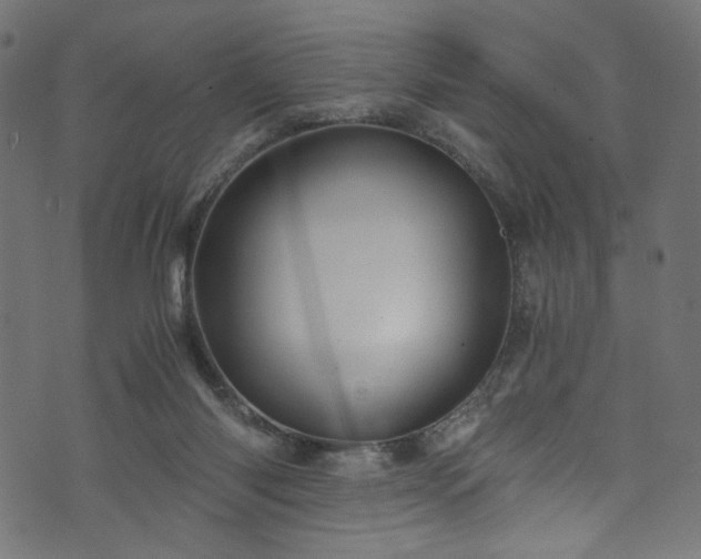 X0000073980118200608281248