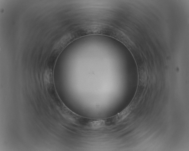 X0000073980126200608281248