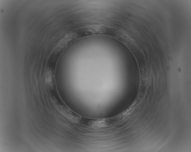 X0000073980132200608281248