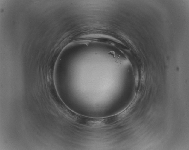 X0000073980170200608281248