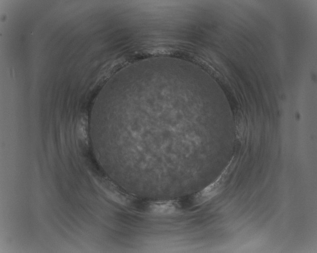 X0000073980175200608281248