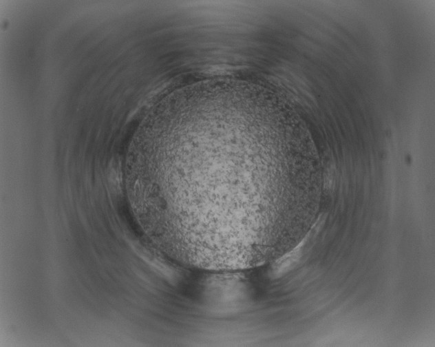 X0000073980179200608281248