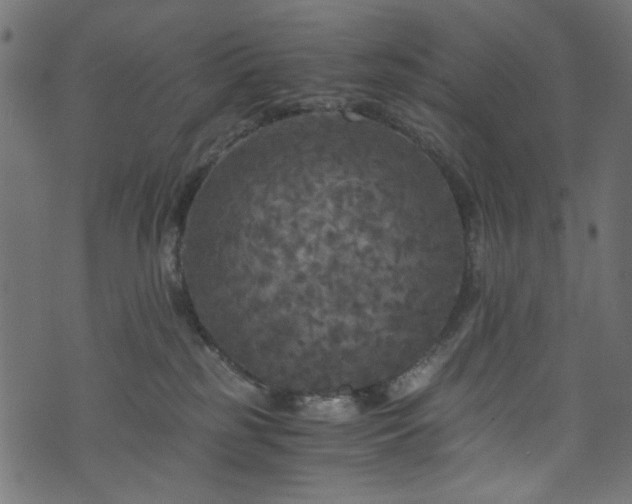 X0000073980185200608281248