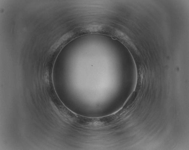 X0000073980212200608281247