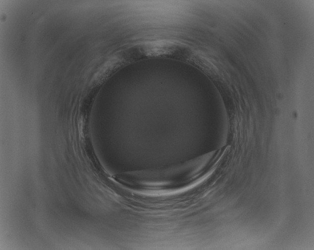 X0000073980219200608281247