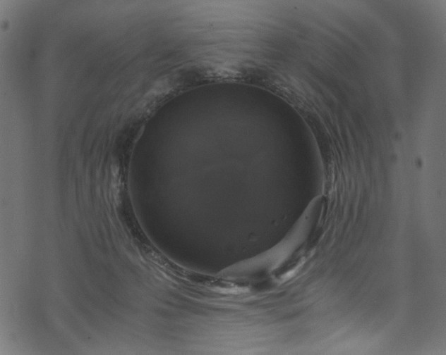 X0000073980223200608281247