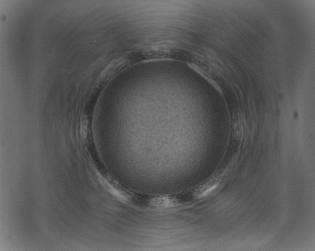 X0000073980231200608281247