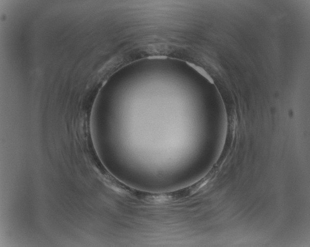 X0000073980233200608281246