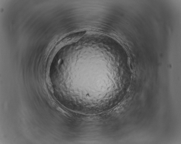 X0000073980241200608281246