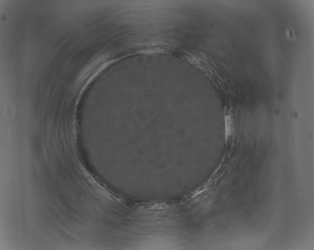 X0000073980243200608281246