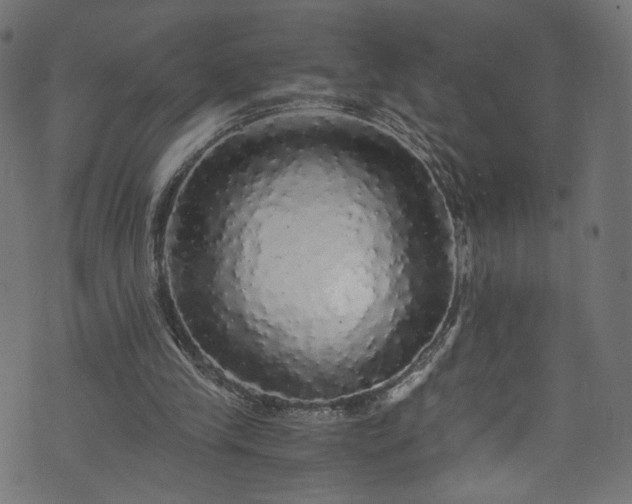 X0000073980245200608281246