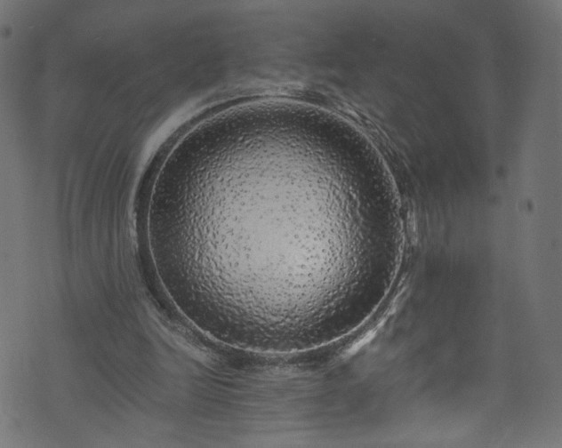 X0000073980246200608281246