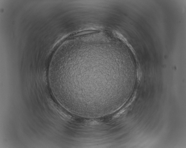 X0000073980249200608281246
