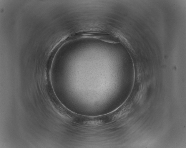 X0000073980251200608281246