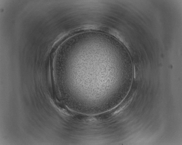 X0000073980253200608281246