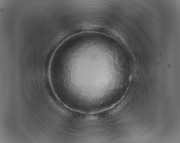 X0000073980257200608281246