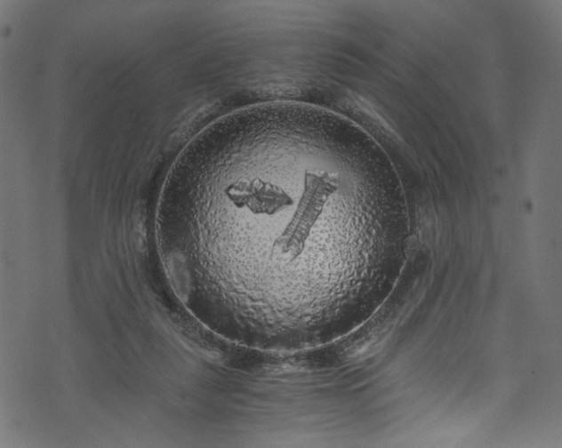 X0000073980259200608281246