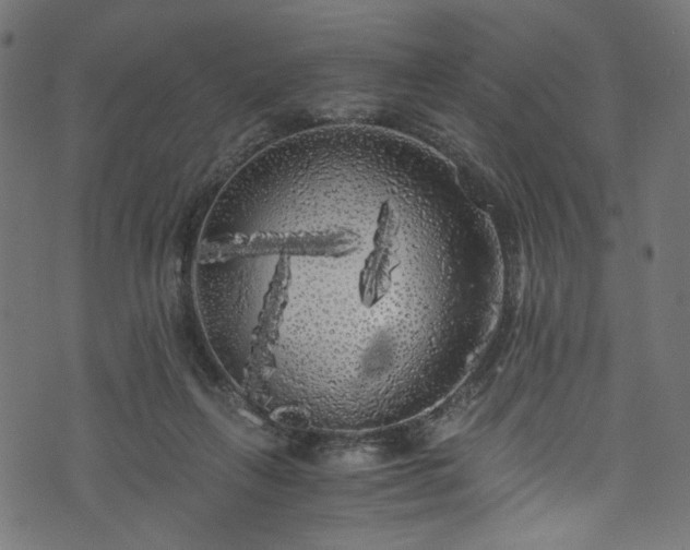 X0000073980263200608281246