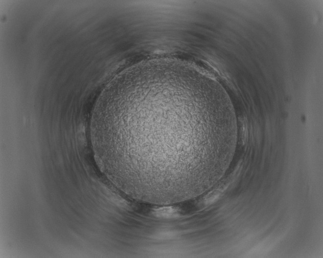 X0000073980269200608281246
