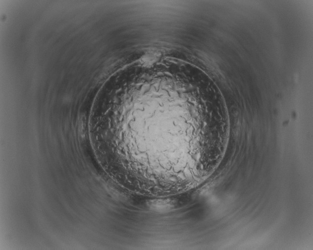 X0000073980273200608281246