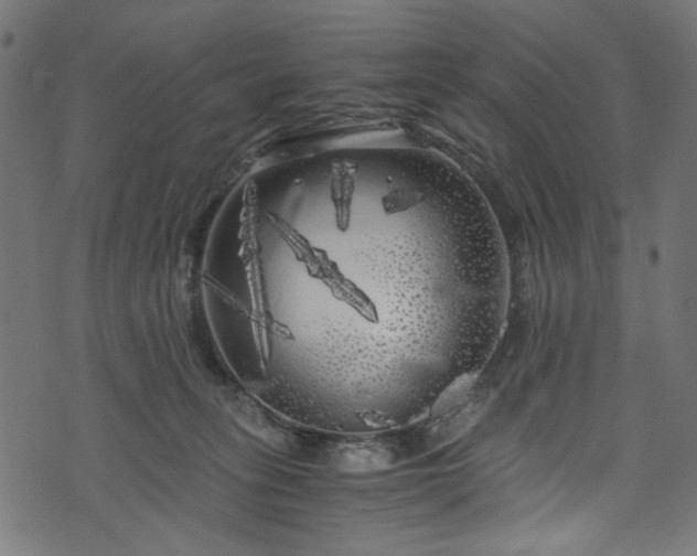 X0000073980275200608281246