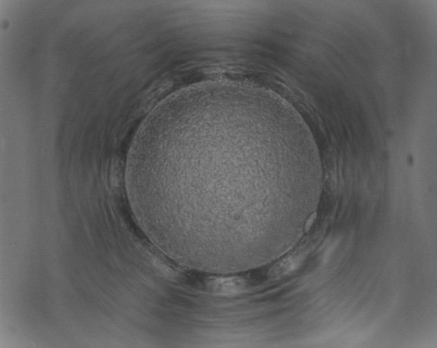 X0000073980277200608281246