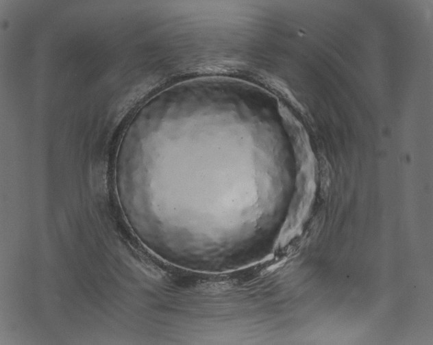 X0000073980299200608281245