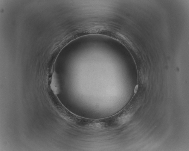 X0000073980307200608281245