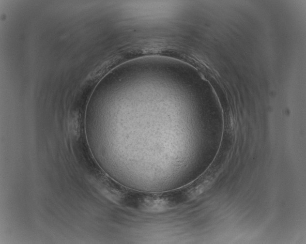 X0000073980311200608281245